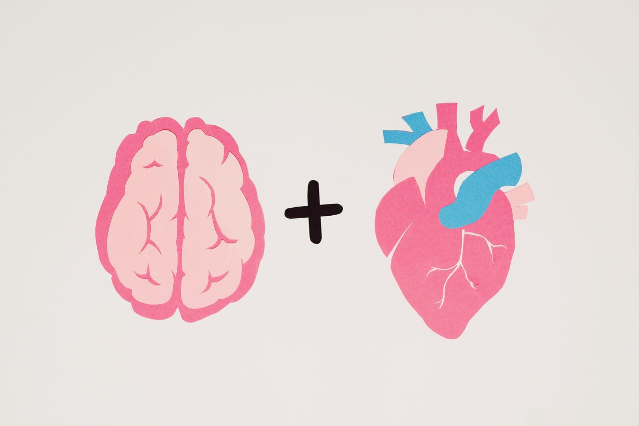 hero-img-01 Creative art featuring a brain and heart on a white background symbolizing logic and emotion.